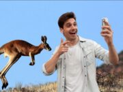 Poder Judicial: personas que maltraten animales para cumplir reto en TikTok irán a la cárcel