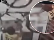 Lima: ladrón muere desangrado tras intentar robar bicicleta