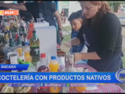 Áncash: coctelería con productos nativos