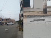 Trujillo: Delincuentes asesinan a “Mocho” en El Porvenir, conocido criminal del hampa