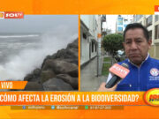 ¿Cómo afecta la erosión a la biodiversidad?