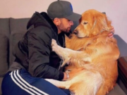 Internacional: Joca, el golden retriever brasileño, fallece tras error de destino en aerolínea