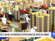 Perú es uno de los principales exportadores de frutas del mundo
