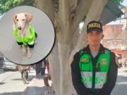 Piura: policía adopta a perrito callejero y lo uniforma para patrullar las calles