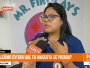 ¿Cómo evitar que tu mascota se pierda?