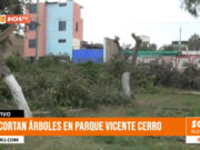 Trujillo: cortan árboles en parque Vicente Cerro