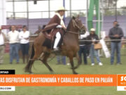 La Libertad: turistas disfrutan de gastronomía y caballos de paso en Paiján