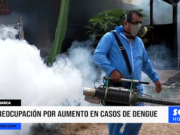 Cajamarca: preocupación por aumento en casos de dengue