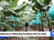 Lambayeque: promueven la formalidad en agricultores de Olmos