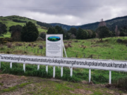 Nueva Zelanda tiene la colina con uno de los nombres más largos del mundo