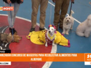 Trujillo: concurso de mascotas para recolectar alimentos para albergue