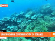 La Libertad: urge prevenir contaminación en océanos