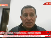Exdirector de Imarpe, Luis Icochea: “Pesca de anchoveta en recuperación por mejoras oceanográficas”