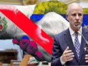 Ministro de Relaciones Exteriores anuncia que el embajador de Perú en Venezuela deja el país