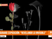 Inauguración de exposición de arte con radiografías en Trujillo