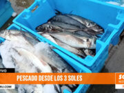 ¡Desde tres soles! Precios bajos en el terminal pesquero por bajas temperaturas