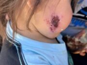 Contumazá: ciudadanos exigen atención urgente y acciones preventivas contra la UTA