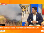 15 incendios forestales afectan 380 hectáreas en La Libertad este año