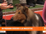 Trujillo: un programa dedicado a las mascotas