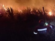 Bomberos combaten incendio forestal en Otuzco para proteger cultivos de maíz y hortalizas