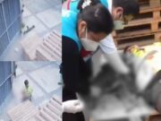 Trujillo: Vigilante pierde el brazo al intentar cerrar portón cuando camión salía de almacén