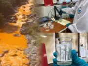 Resultados de análisis del río Santa se darán en dentro de 5 días