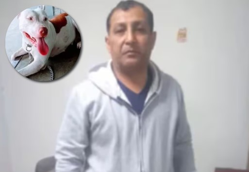 policia-asesina-perrita-pitbull-lambayeque