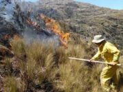 Nacional: Apurímac, Huancavelica, Ayacucho y Puno presentan un alto riesgo de incendios forestales