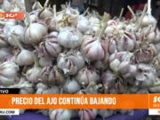 El precio del ajo en Trujillo sigue bajando: arequipeño llega a S/ 16 por kilo
