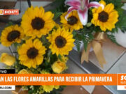 Flores amarillas: la tradición primaveral en Trujillo
