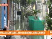 Trujillo: caída de árbol produce aniego de aguas residuales