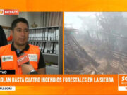 Controlan hasta cuatro incendios forestales en la sierra
