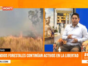 Incendios forestales continúan activos en La Libertad