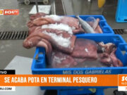 Trujillo: se acaba pota en terminal pesquero en Buenos Aires