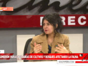 Es indignante que no se declare la emergencia, expresó ingeniera ambiental, Fiorella Vásquez Uriol: “Es nula la capacidad de respuesta del gobierno para apagar los incendios forestales”