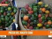 Trujillo: precio del rocoto se dispara por escasez en las sierras