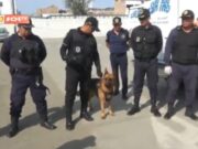 Trujillo: Brigada Canina combate consumo de drogas y refuerza seguridad ciudadana