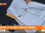 Vecinos de Chicago en Trujillo denuncian plaga de moscas por camiones de basura sucios