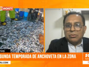 Pesca de anchoveta en la zona Norte Centro generará 49 mil empleos y S/538 millones en divisas