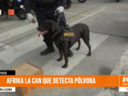 Trujillo: «Afrika» la perrita entrenada para detectar pólvora