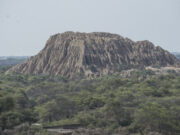 Lambayeque: Santuario Histórico Bosque de Pómac recibe máxima distinción como recurso turístico