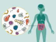 La importancia de la microbiota intestinal para la salud