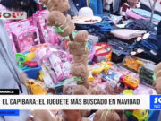 Cajamarca: el capibara es el juguete más buscado en Navidad