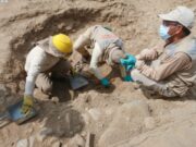 Trujillo: amurallados de Chan Chan serían utilizados como viviendas
