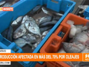 Trujillo: producción pesquera afectada en más del 70% por oleajes