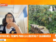 “Se prevé la ocurrencia de lluvias acompañadas de fuertes descargas eléctricas y ráfagas de viento desde el 31 de diciembre hasta el 8 de febrero»: Nataly Zamudio, analista meteorológico