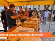 Lambayeque: mangos se acaban a pocas horas en Expoferia