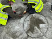 Internacional: descubren más de 200 huellas de dinosaurios de hace 166 millones de años