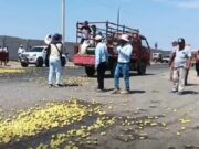 Piura: agricultores arrojan 20 toneladas de limones como protesta por precios bajos