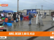 Pescado jurel desde los S/ 2.80 en el Terminal Pesquero de Buenos Aires